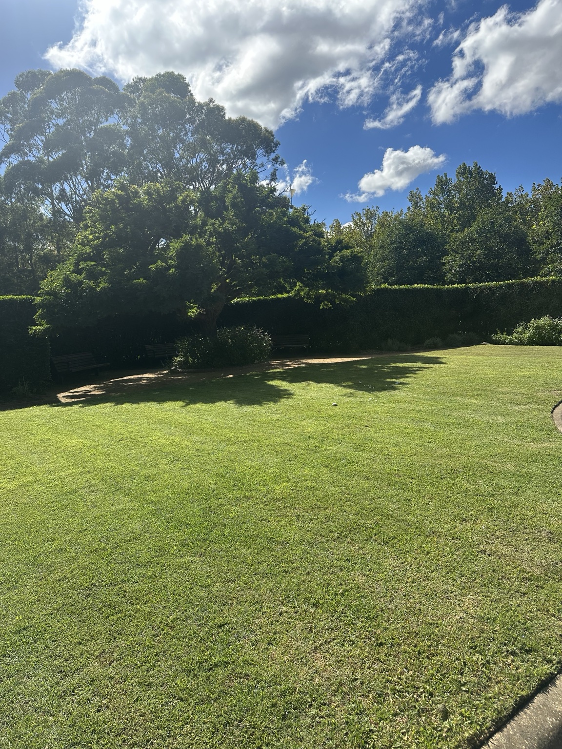 A real lawn bordered by hedges and mature trees beneath a blue sky